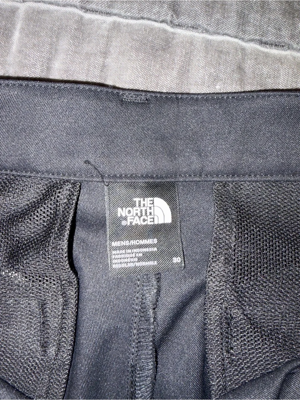 Mens north face pants